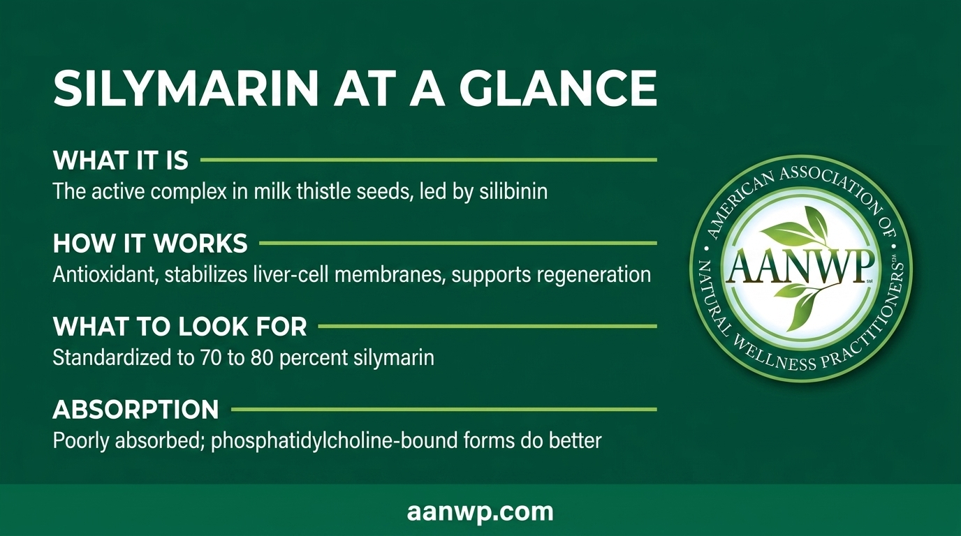 Quick-reference card summarizing what silymarin is, how it works, what to look for, and its absorption.